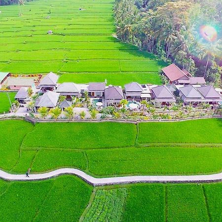 Villa Jj And Spa Ubud Zewnętrze zdjęcie