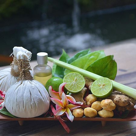 Villa Jj And Spa Ubud Zewnętrze zdjęcie