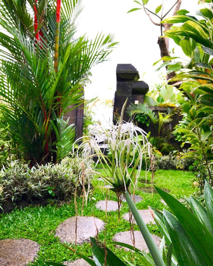 Villa Jj And Spa Ubud Zewnętrze zdjęcie