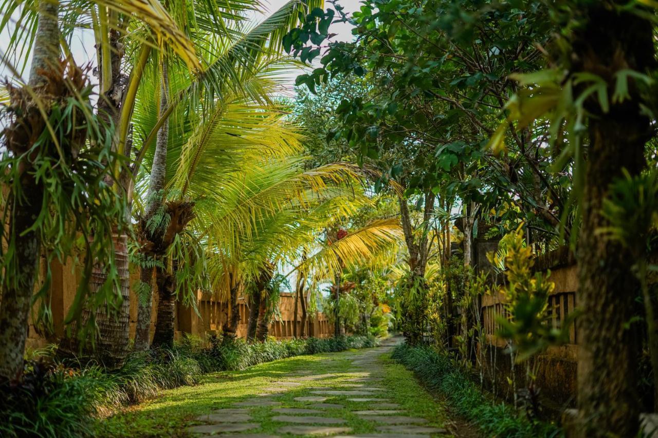 Villa Jj And Spa Ubud Zewnętrze zdjęcie