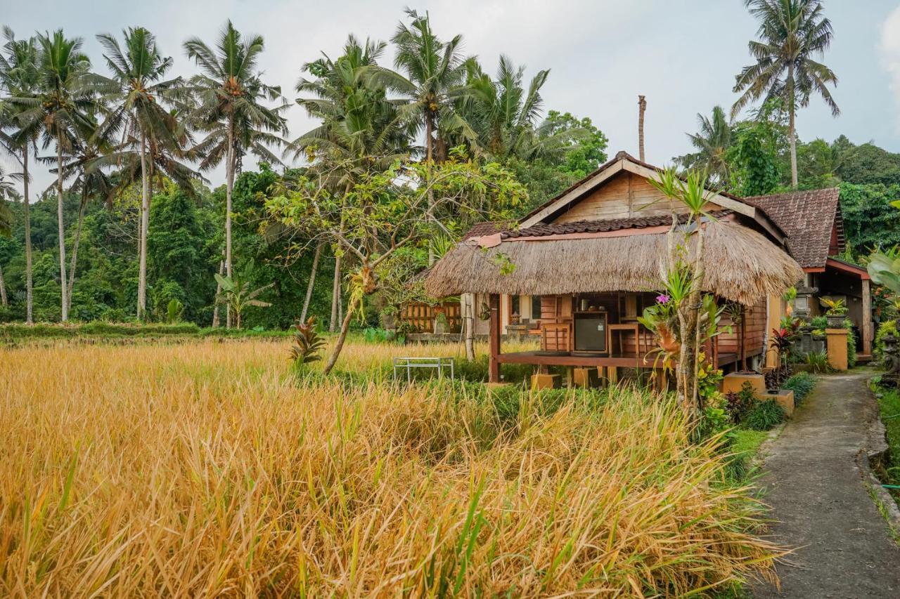 Villa Jj And Spa Ubud Zewnętrze zdjęcie