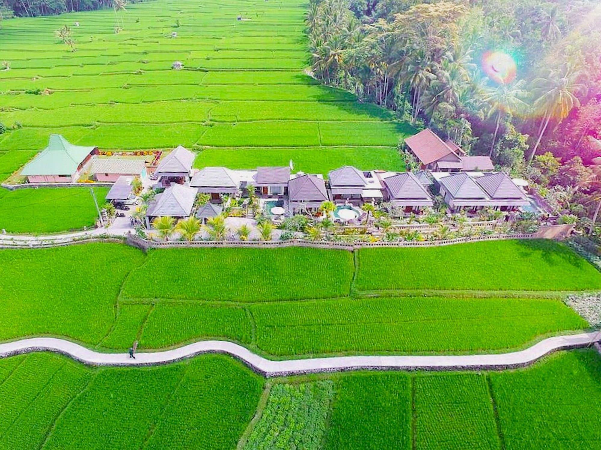 Villa Jj And Spa Ubud Zewnętrze zdjęcie