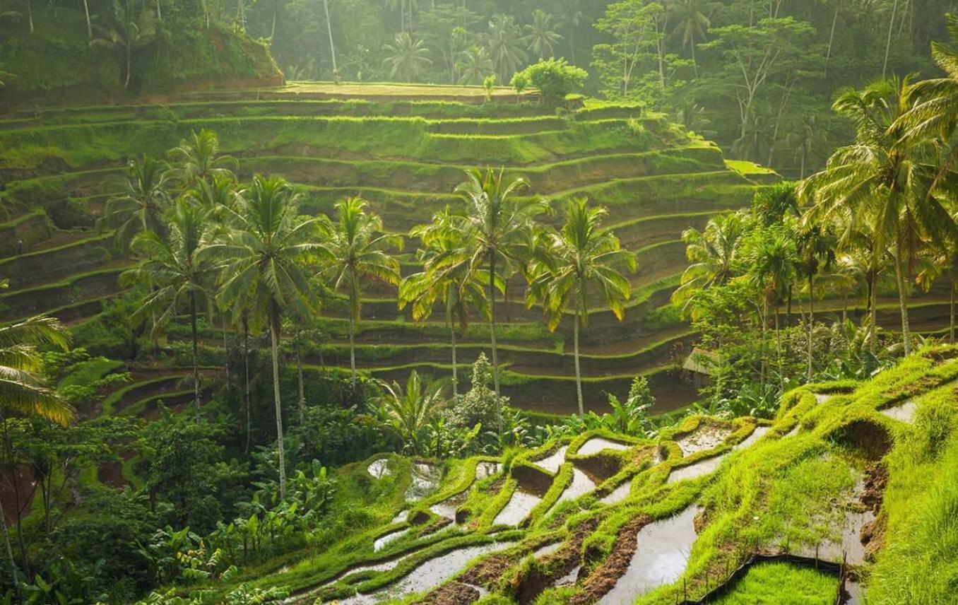 Villa Jj And Spa Ubud Zewnętrze zdjęcie