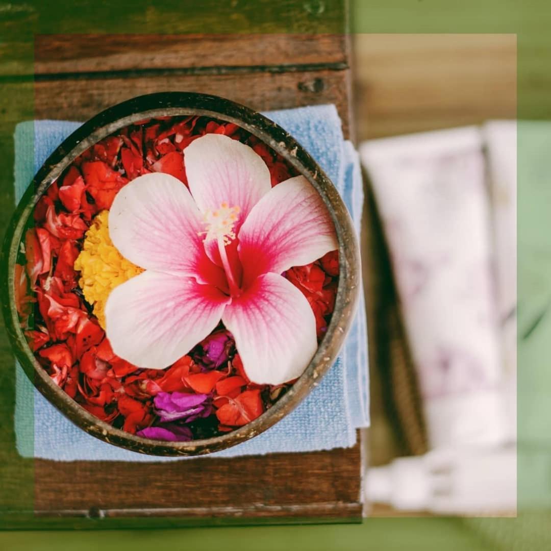 Villa Jj And Spa Ubud Zewnętrze zdjęcie
